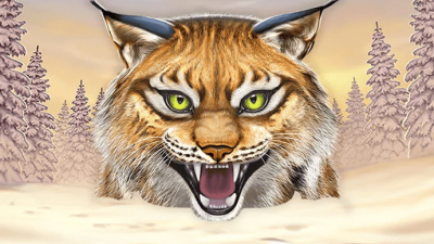 Wild North