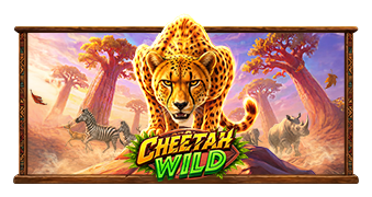pp_cheetah-wild.png