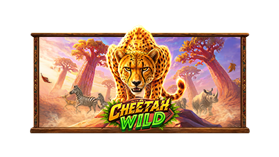 Cheetah Wild