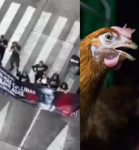 ‘홍명보호 인기 정치적으로 활용?’…대표팀 호텔 앞 아침 7시부터 시위, 컨디션 관리에 불청객
